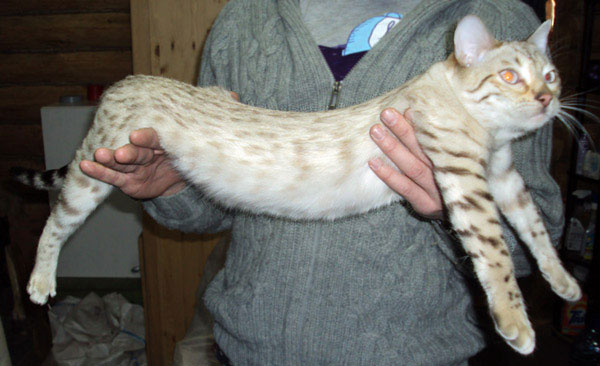 02jan2010