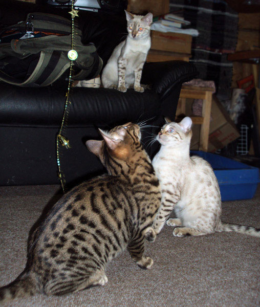 05jan2010