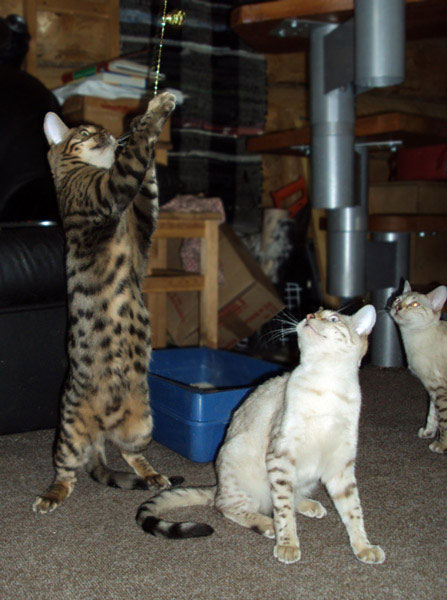 06jan2010