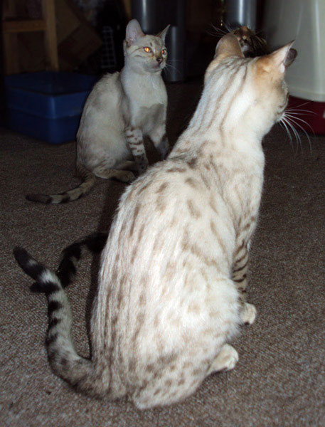 07jan2010