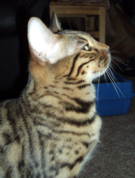 09jan2010