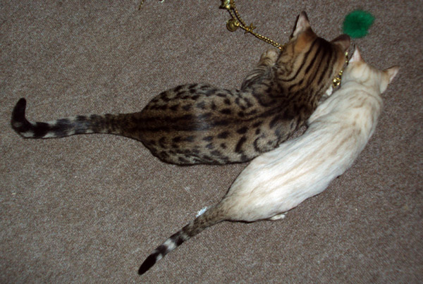 18jan2010