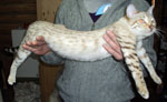 02jan2010
