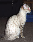 04jan2010